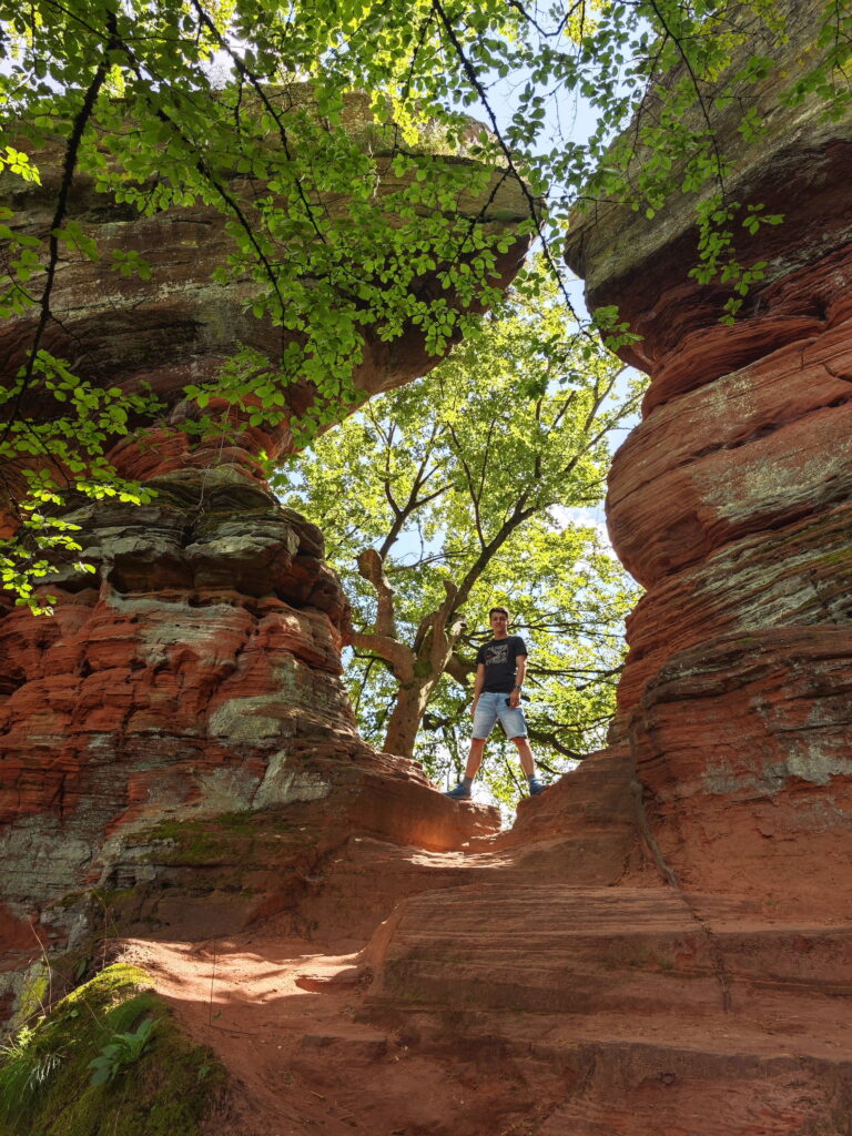 Reiseziele Deutschland Geheimtipp: Die Altschlossfelsen im Pfälzerwald