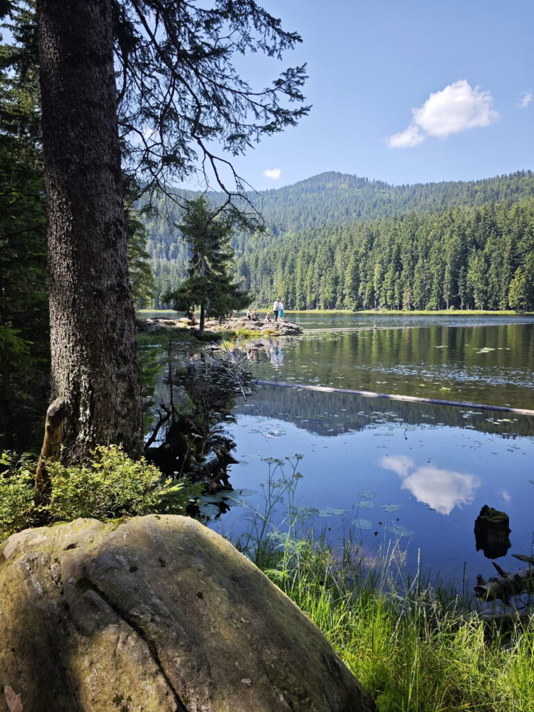 Reiseziele Deutschland, die man einmal gesehen haben muss: Der Große Arbersee